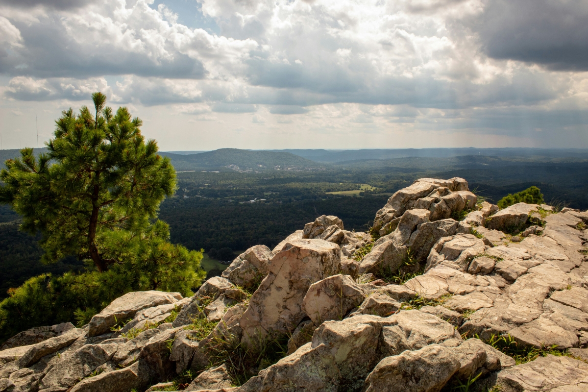 Rocky overlook in Arkansas with a pine tree and expansive forested hills under a partly cloudy sky