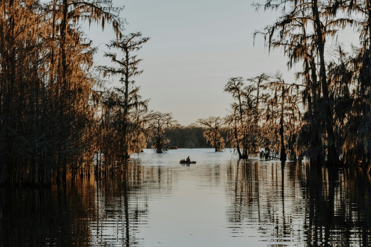 Cypress swamp in Lafayette, Louisiana with trees draped in Spanish moss and a person kayaking through calm water at sunset